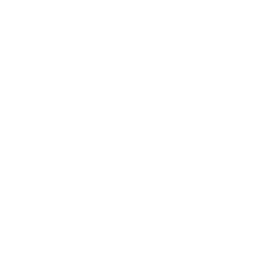 Nomad Live logo
