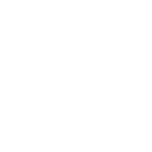 True TV Plus logo