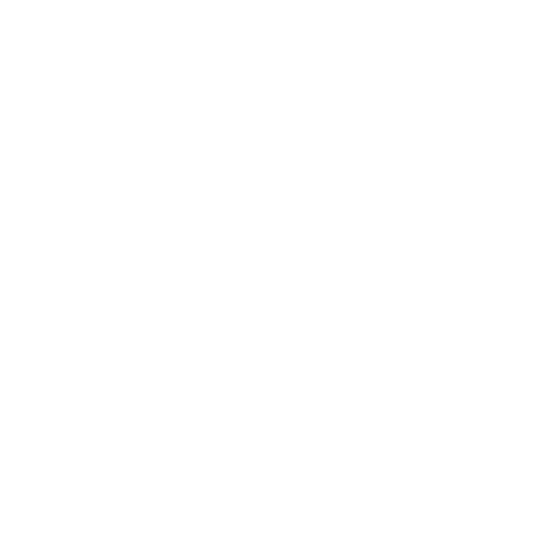 VTVee logo